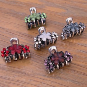 Petite pince crabe argentée Glam