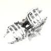 Pince crabe moyenne argentée Louisia