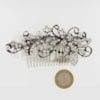 Peigne Cristal Payane