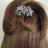 petite-barrette-cheveux-argent-tropika-2364-10.jpg