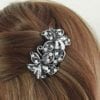 petite-barrette-cheveux-argent-tropika-2364-11.jpg