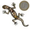 Broche Lézard Strass en Cristal