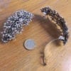 Grande Barrette à Cheveux Argentée Velloma