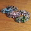 Petite Barrette à Cheveux Helli
