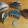Pince Crabe Moyenne Argentée Kaisa